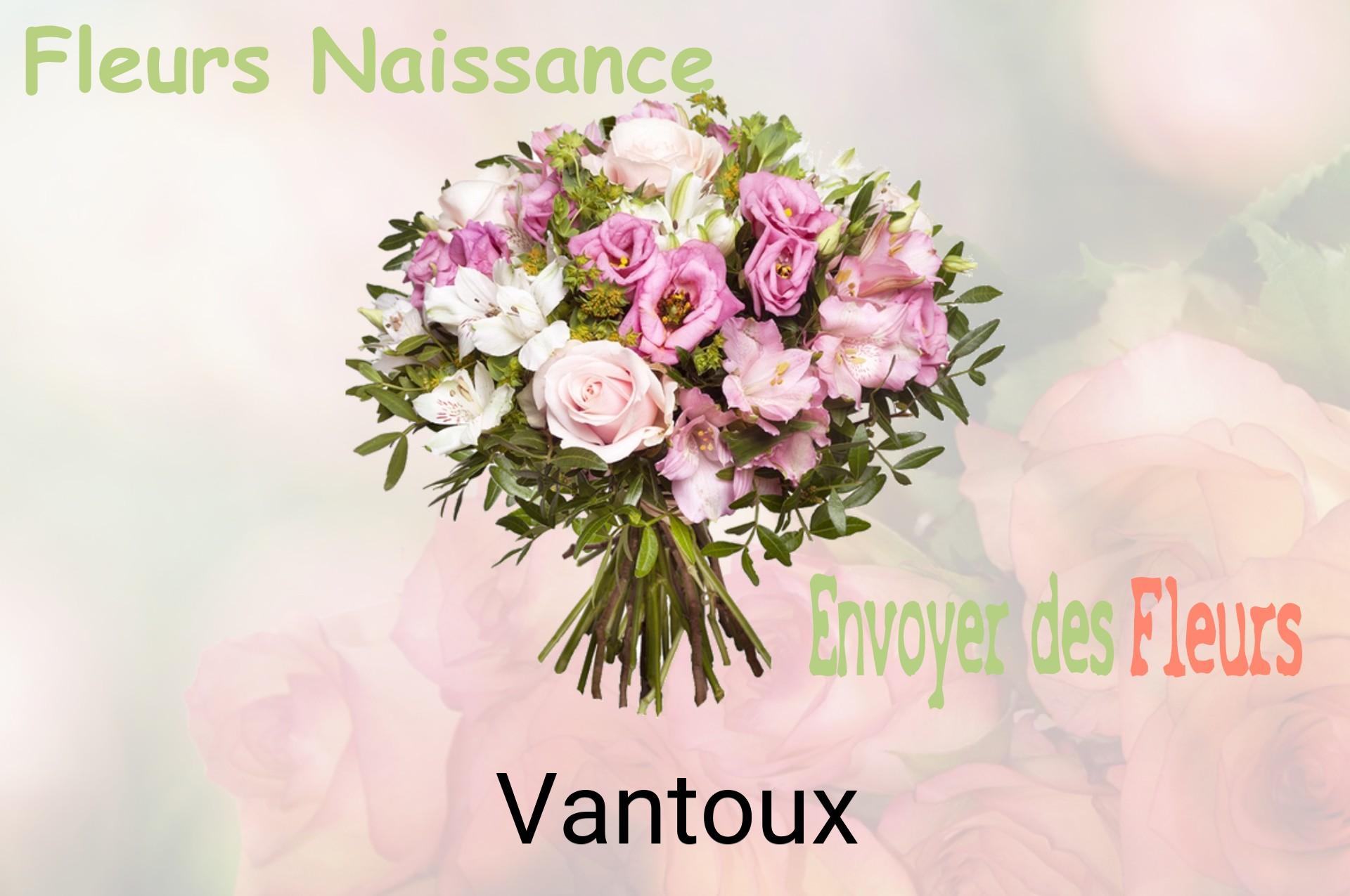 Bouquet de fleurs de naissance livré à Vantoux